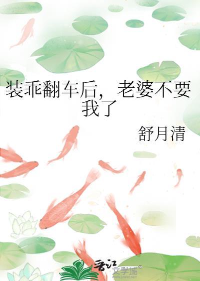 老婆不理我了txt