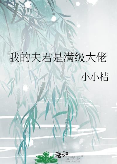 我的夫君是当朝大老