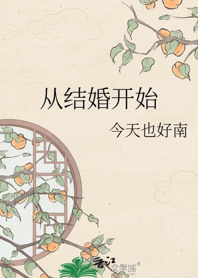 从结婚开始恋爱 电视剧