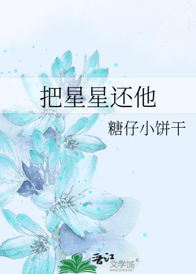 歌词把星星摘下来