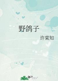 野鸽子是什么鸟