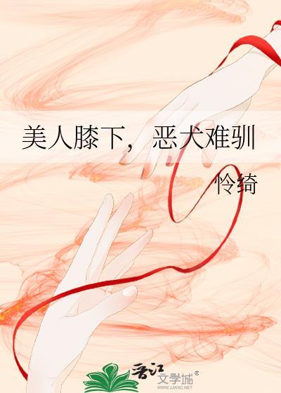 作者美人膝