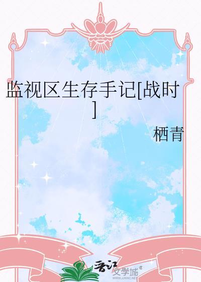 监视区生存手记