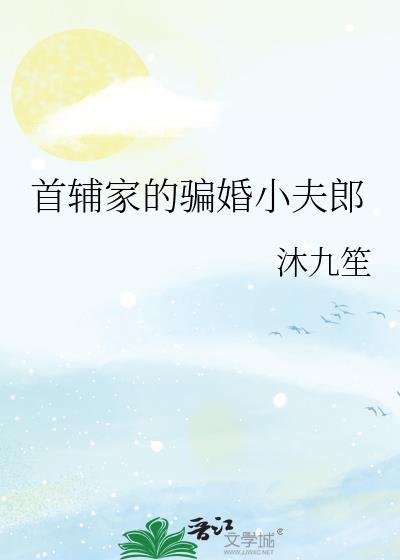 首辅家的骗婚小夫郎沐九笙