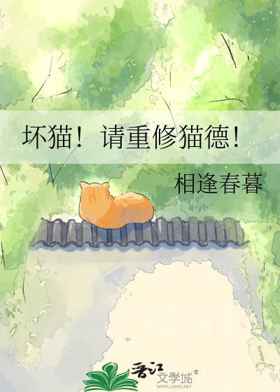 坏猫猫吧