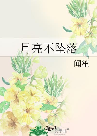 月亮不坠落番外TXT盘