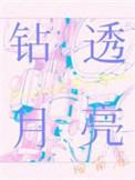 钻透月亮回南雀
