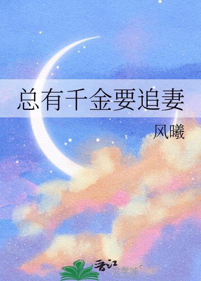总有千金要追妻风曦