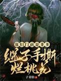 寡妇门前桃花多简介
