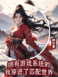 拥有游戏系统的穿越男