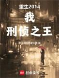 刑侦之王精校版