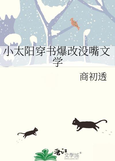 小太阳攻