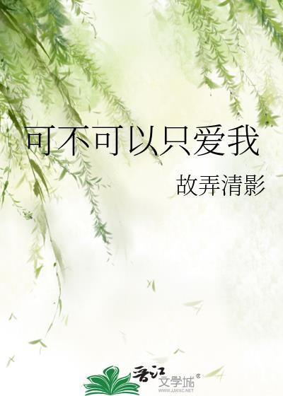 歌词可不可以爱我