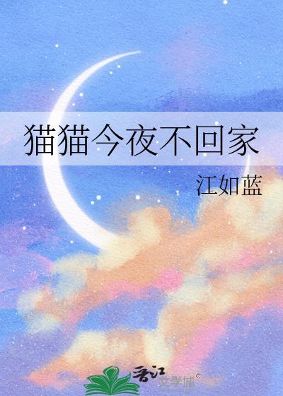 猫咪整夜不回家