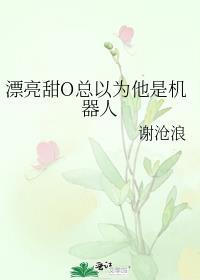 漂亮甜o总以为他是机器人有副cp吗