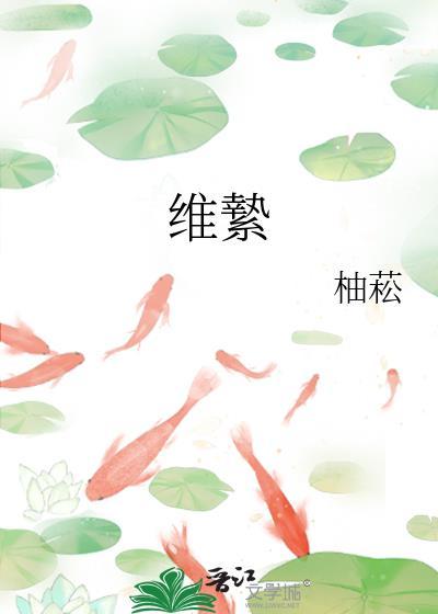 维絷by全文免费阅读