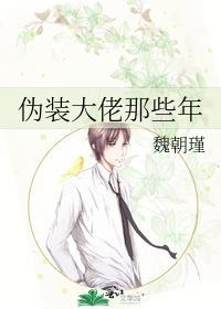 伪装大佬那些年百度