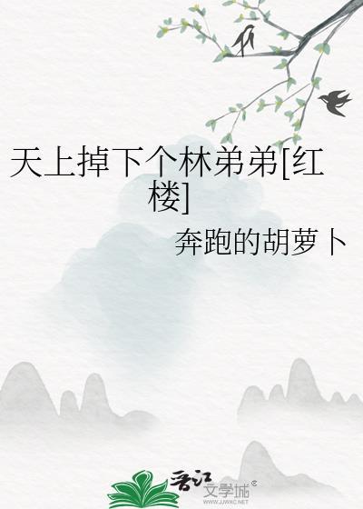 天上掉下个林妹妹图
