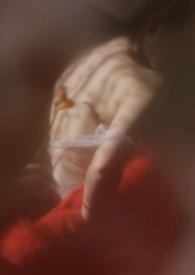 狐狸