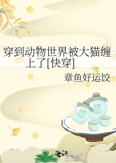 受穿到动物