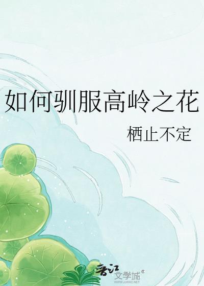 高岭之花攻略手册