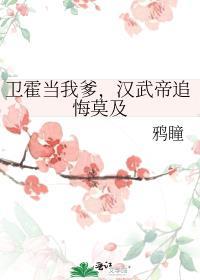 汉武帝卫青霍去病