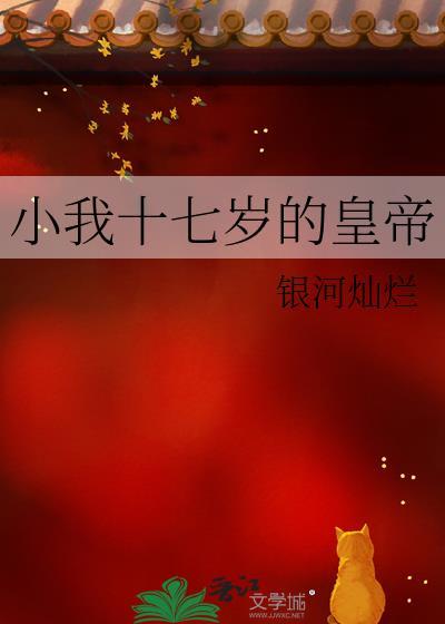 十七岁当皇帝