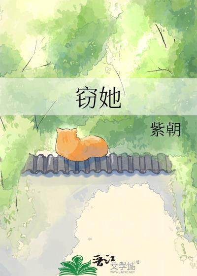 窃她大结局剧情