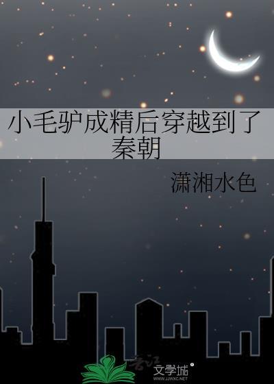 小毛驴怎么样