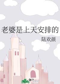 老婆是上天安排的免费阅读