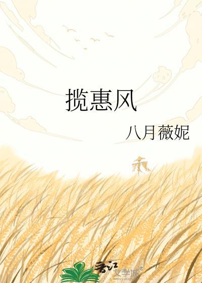 揽惠风22