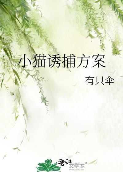 怎么诱捕猫咪