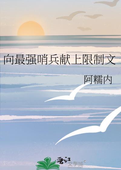 评分最高的哨兵向导