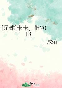 足球卡卡什么时候退役