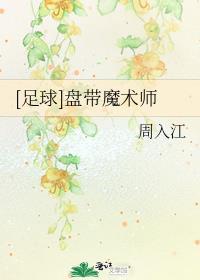 足球盘带高手
