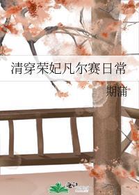 清穿荣妃完结文