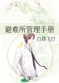 避难所的攻略
