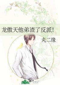 龙傲天他弟渣了反派!作者丸二缘