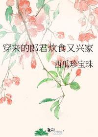 穿来的郎君炊食又兴家百度