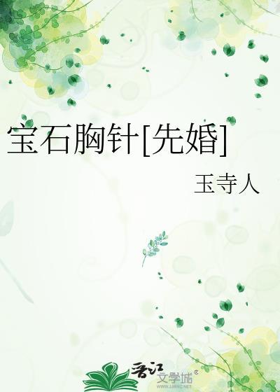 宝石胸针先婚后爱笔趣阁
