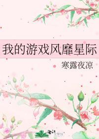 我的游戏画风与众不同排雷