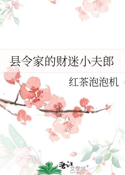 县令家的财迷小夫郎by红茶泡泡机