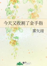 每次都是非人类讲的什么