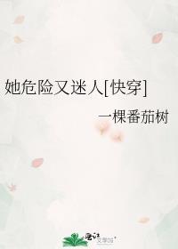 快穿之她危险又迷人布言