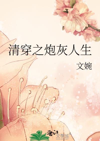 清穿之炮灰女配全文在线阅读