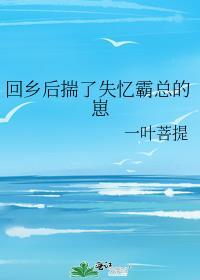 回乡后揣了失忆霸总的崽 一叶菩提