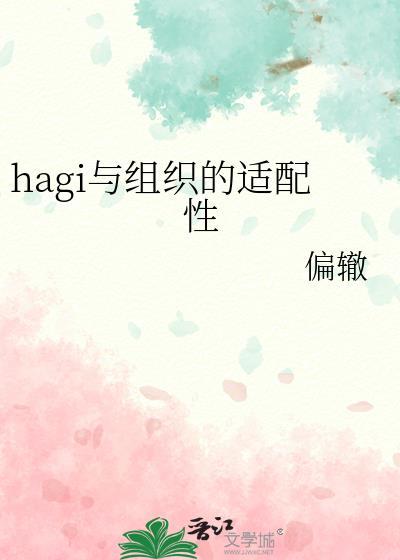 hagi与组织的适配性全文阅读