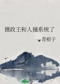 摄政王cp皇上