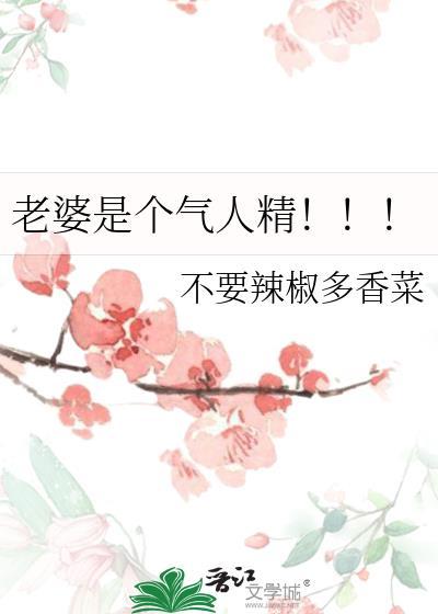 老婆是个男人