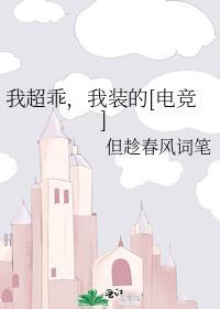 我装的[电竞